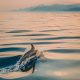 IMG_20190704_194106